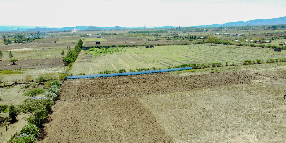 SERENE GARDENS PLOTS FOR SALE IN NAKURU