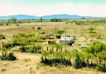 SERENE GARDENS PLOTS FOR SALE IN NAKURU