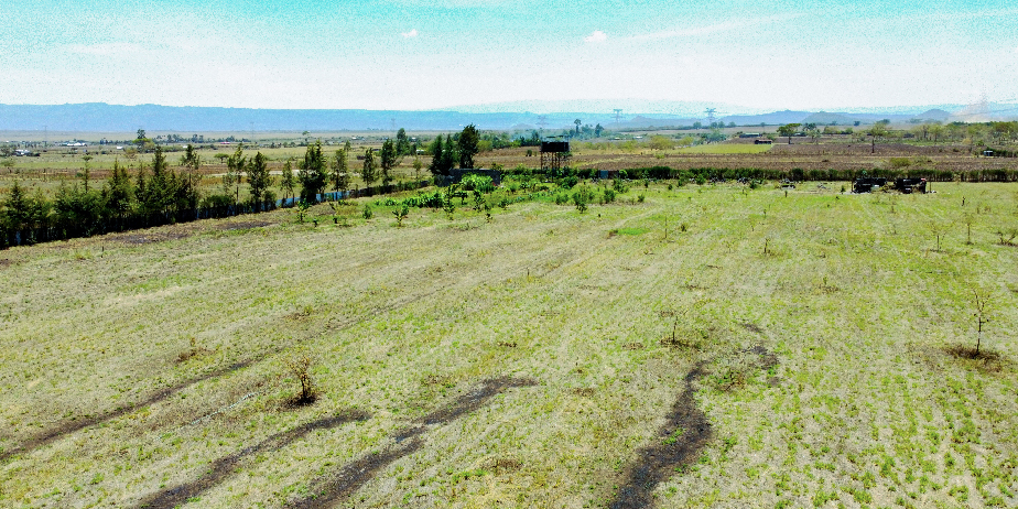 SERENE GARDENS PLOTS FOR SALE IN NAKURU