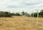 OLIVE COURTS PHASE 3 PLOTS FOR SALE IN THIKA