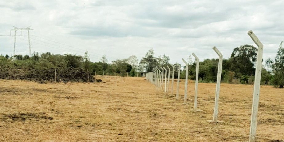 OLIVE COURTS PHASE 3 PLOTS FOR SALE IN THIKA