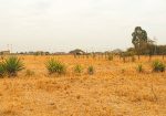 OLIVE COURTS PHASE 2 PLOTS FOR SALE IN THIKA