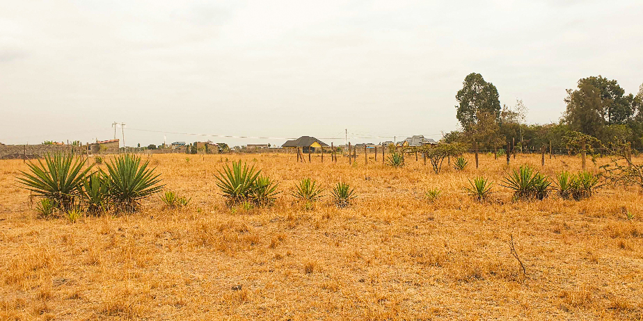 OLIVE COURTS PHASE 2 PLOTS FOR SALE IN THIKA