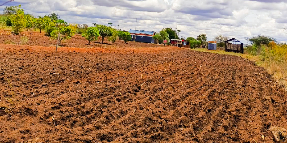 BARAKA GARDENS PHASE 3 PLOTS FOR SALE IN MATUU.