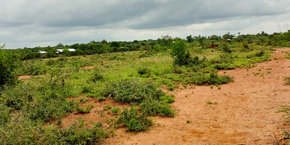 BARAKA GARDENS PHASE 4 PLOTS FOR SALE IN MATUU.