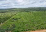 AHADI GARDENS ACRES FOR SALE IN MALINDI