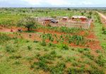 AHADI GARDENS ACRES FOR SALE IN MALINDI