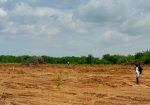 PRECIOUS GARDENS PHASE 1 PRIME PLOTS IN KIVANDINI MATUU