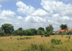 OASIS GARDENS PHASE 2 PHASE 2 PLOTS FOR SALE IN SAGANA