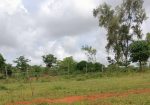 OASIS GARDENS PHASE 2 PHASE 2 PLOTS FOR SALE IN SAGANA