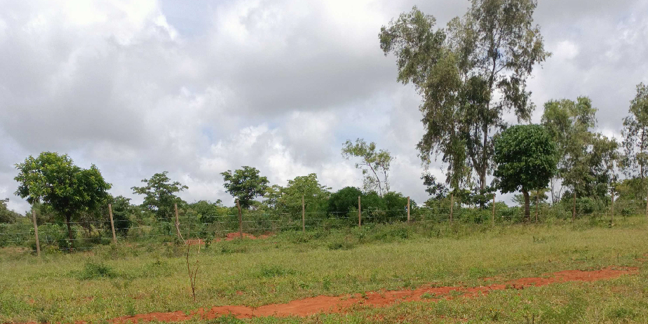 OASIS GARDENS PHASE 2 PHASE 2 PLOTS FOR SALE IN SAGANA