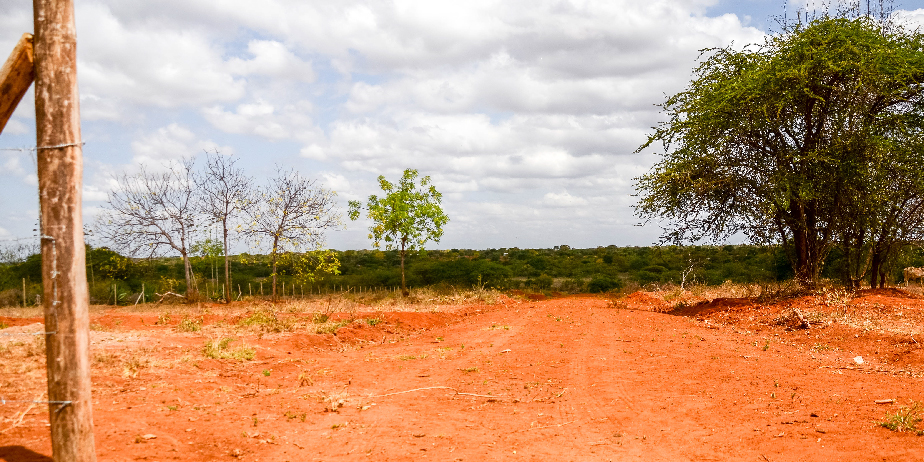 ZURI GARDENS 1 ACRE PLOTS FOR SALE IN MALINDI