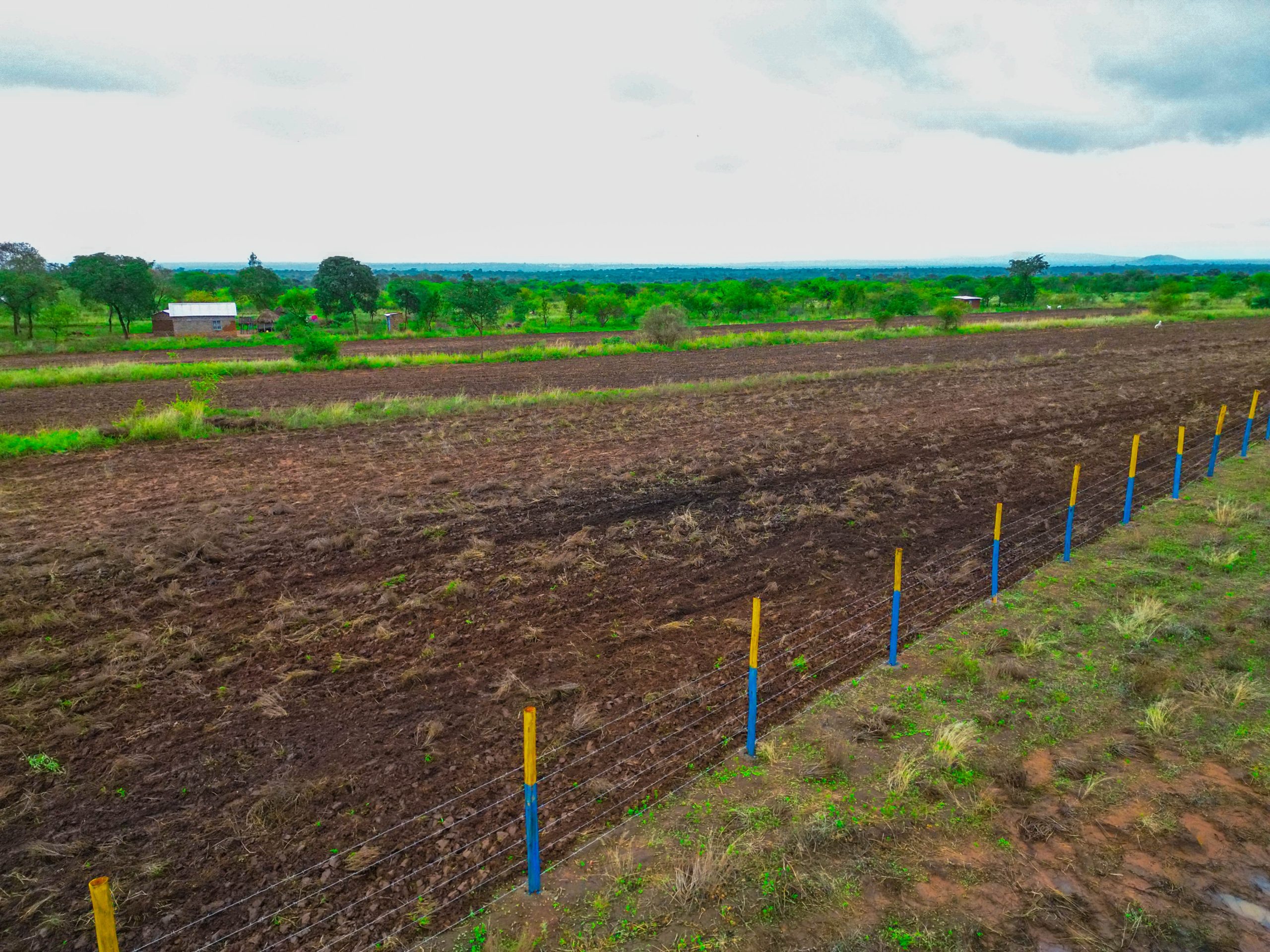 VICTORY GARDENS PHASE 3 PLOTS FOR SALE IN MATUU