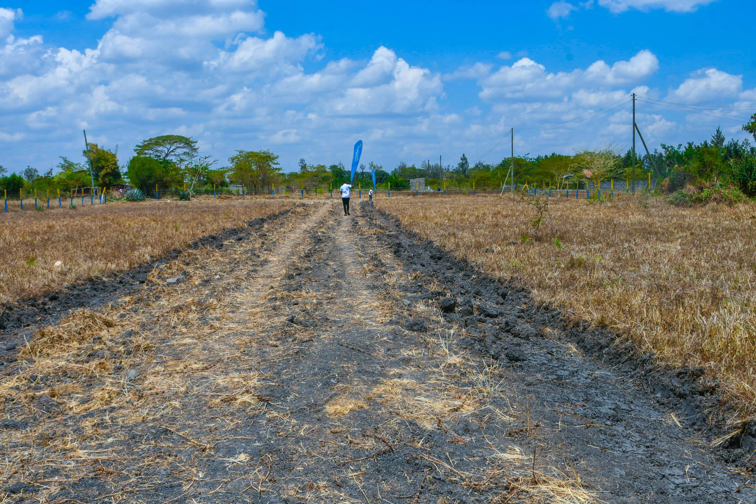 OLIVE COURTS PHASE 4 PLOTS FOR SALE IN THIKA