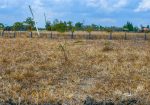 OLIVE COURTS PHASE 4 PLOTS FOR SALE IN THIKA