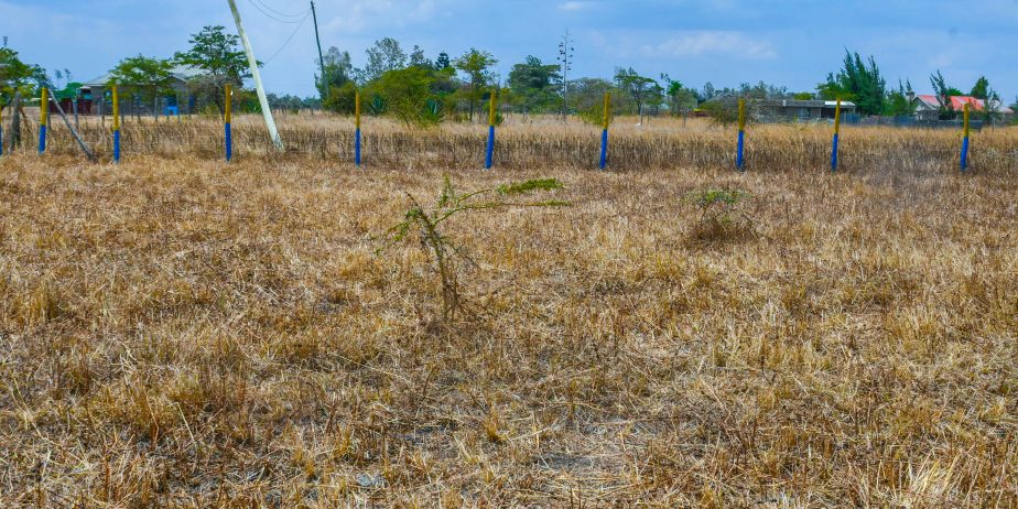 OLIVE COURTS PHASE 4 PLOTS FOR SALE IN THIKA