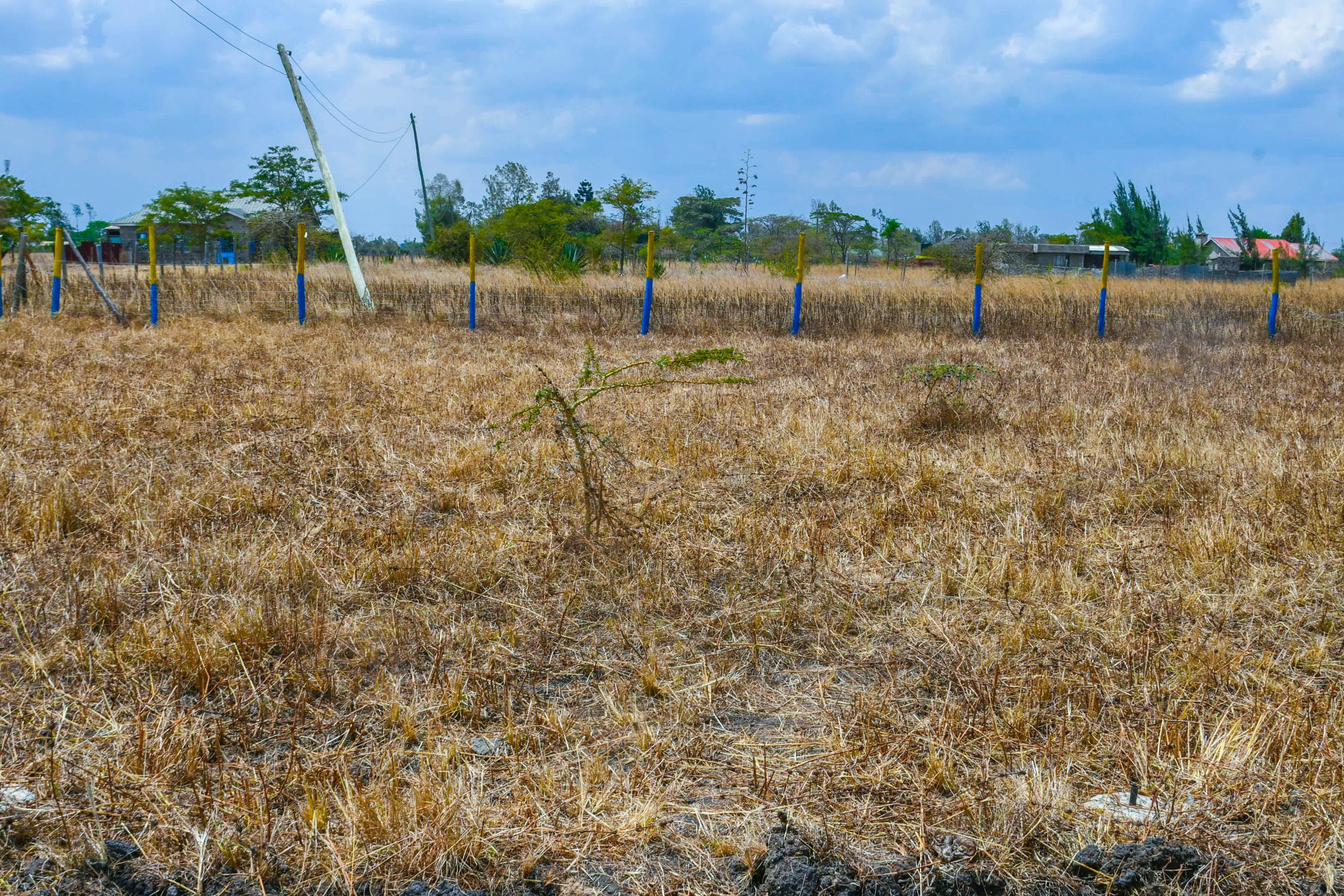 OLIVE COURTS PHASE 4 PLOTS FOR SALE IN THIKA