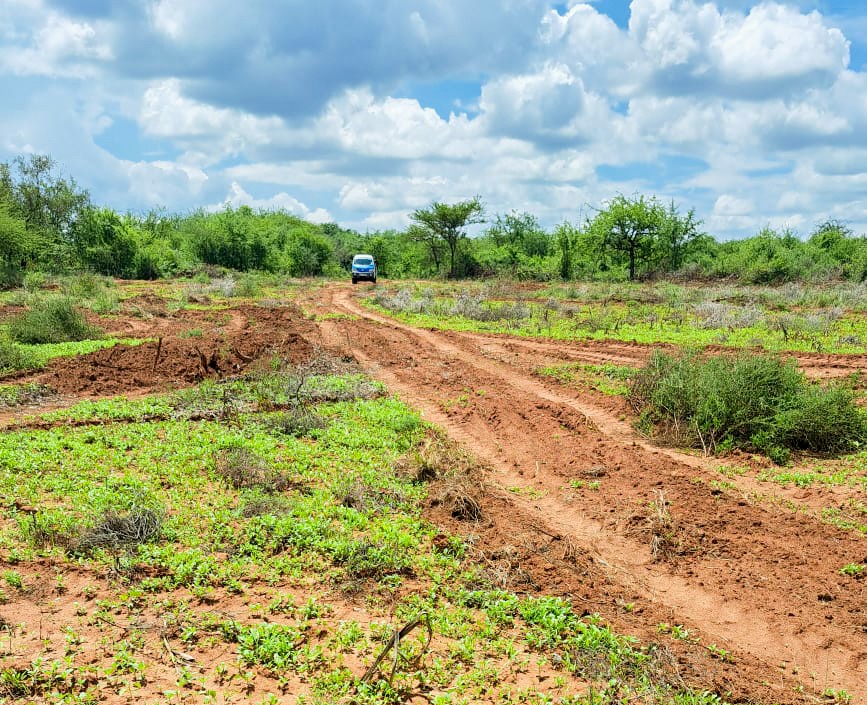 AMANI GARDENS PHASE 4 PLOTS FOR SALE IN KITHYOKO