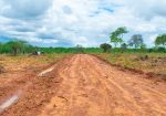 BARAKA GARDENS PHASE 6 PLOTS FOR SALE IN MATUU.