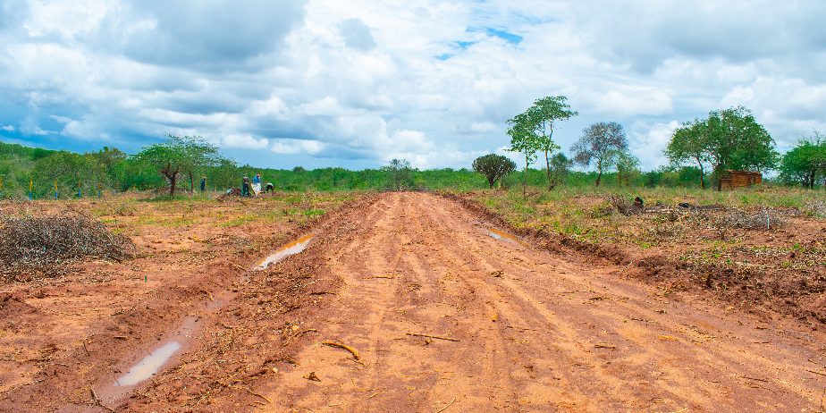 BARAKA GARDENS PHASE 6 PLOTS FOR SALE IN MATUU.