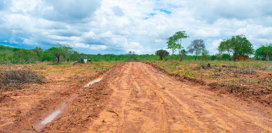 BARAKA GARDENS PHASE 6 PLOTS FOR SALE IN MATUU.