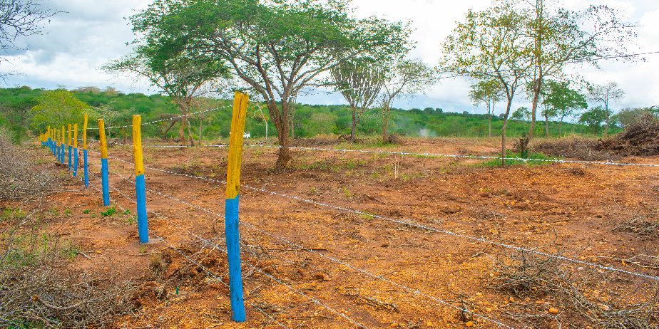 BARAKA GARDENS PHASE 6 PLOTS FOR SALE IN MATUU.