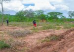 BARAKA GARDENS PHASE 6 PLOTS FOR SALE IN MATUU.