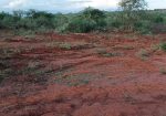 AMANI GARDENS PHASE 7 PLOTS FOR SALE IN KITHYOKO