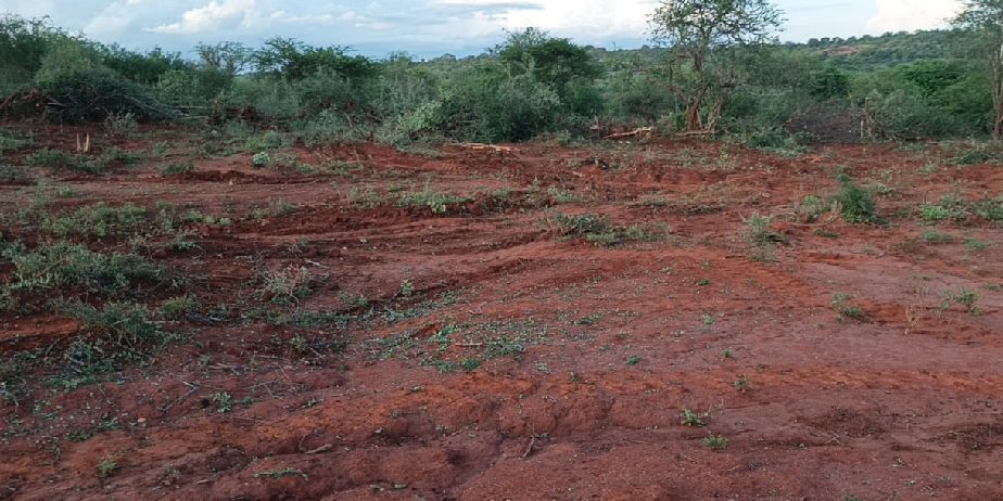 AMANI GARDENS PHASE 7 PLOTS FOR SALE IN KITHYOKO