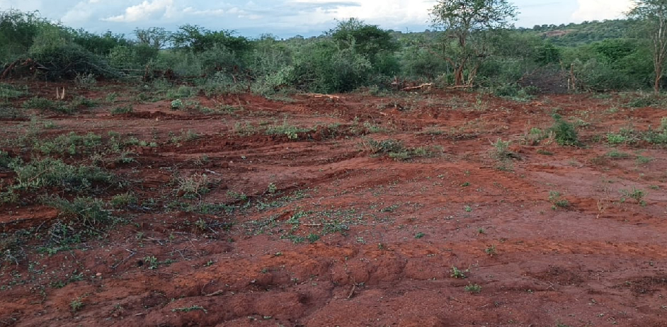 AMANI GARDENS PHASE 7 PLOTS FOR SALE IN KITHYOKO