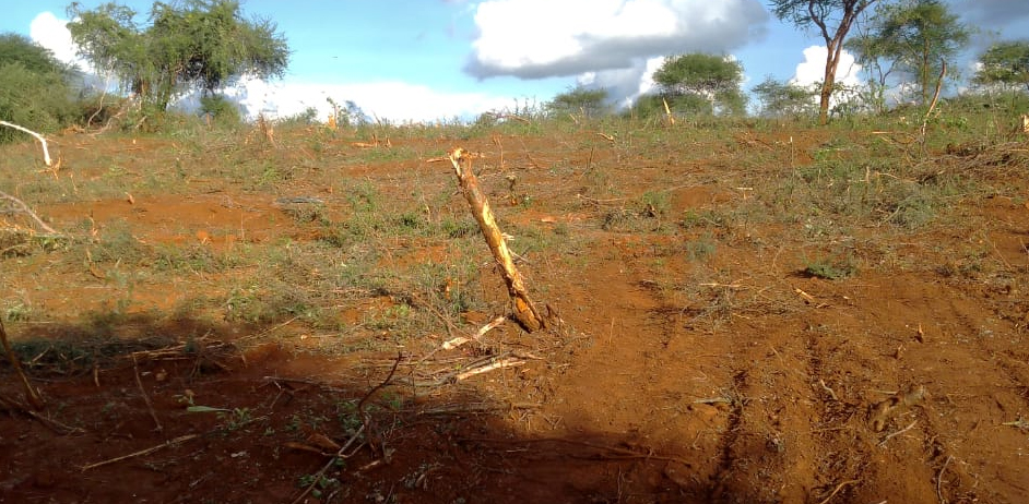 AMANI GARDENS PHASE 7 PLOTS FOR SALE IN KITHYOKO