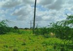 ZURI GARDENS PHASE 3 ACRE PLOTS FOR SALE IN MALINDI