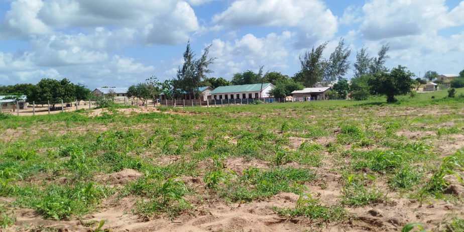 ZURI GARDENS PHASE 3 ACRE PLOTS FOR SALE IN MALINDI