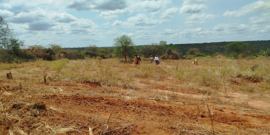 AMANI GARDENS PHASE 8 PLOTS FOR SALE IN KITHYOKO