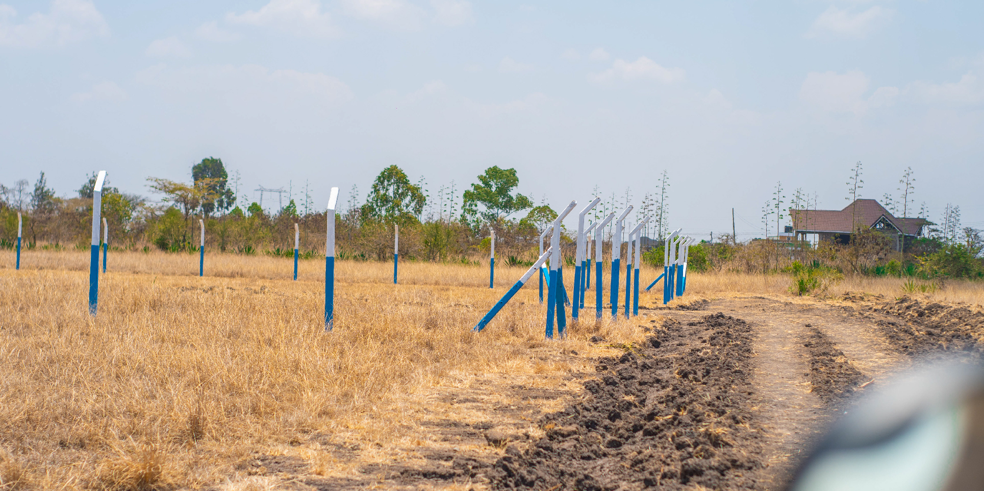 OLIVE COURTS PHASE 5 PLOTS FOR SALE IN THIKA