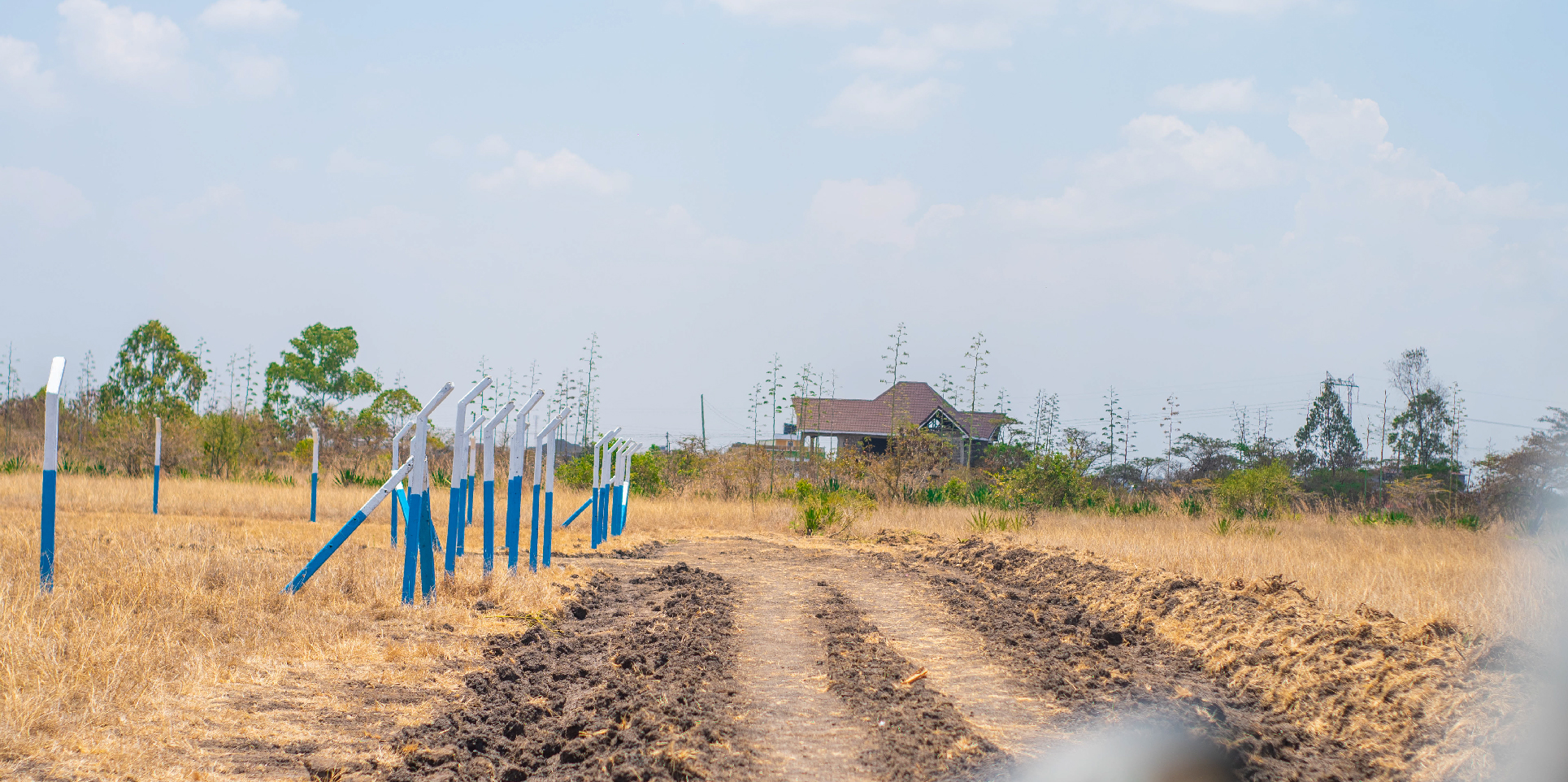 OLIVE COURTS PHASE 5 PLOTS FOR SALE IN THIKA