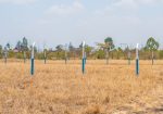 OLIVE COURTS PHASE 5 PLOTS FOR SALE IN THIKA