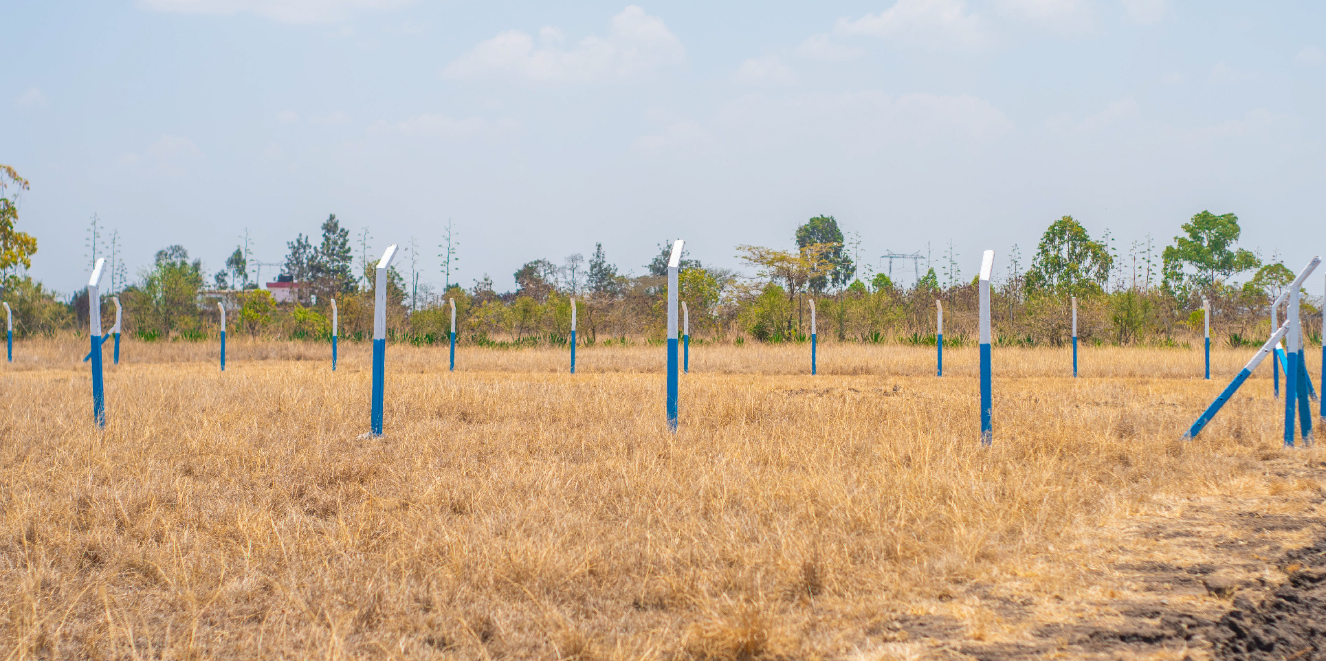OLIVE COURTS PHASE 5 PLOTS FOR SALE IN THIKA