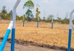 OLIVE COURTS PHASE 5 PLOTS FOR SALE IN THIKA