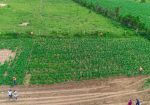 SUCCESS GARDENS PLOTS FOR SALE IN NAKURU