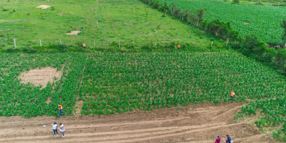 SUCCESS GARDENS PLOTS FOR SALE IN NAKURU