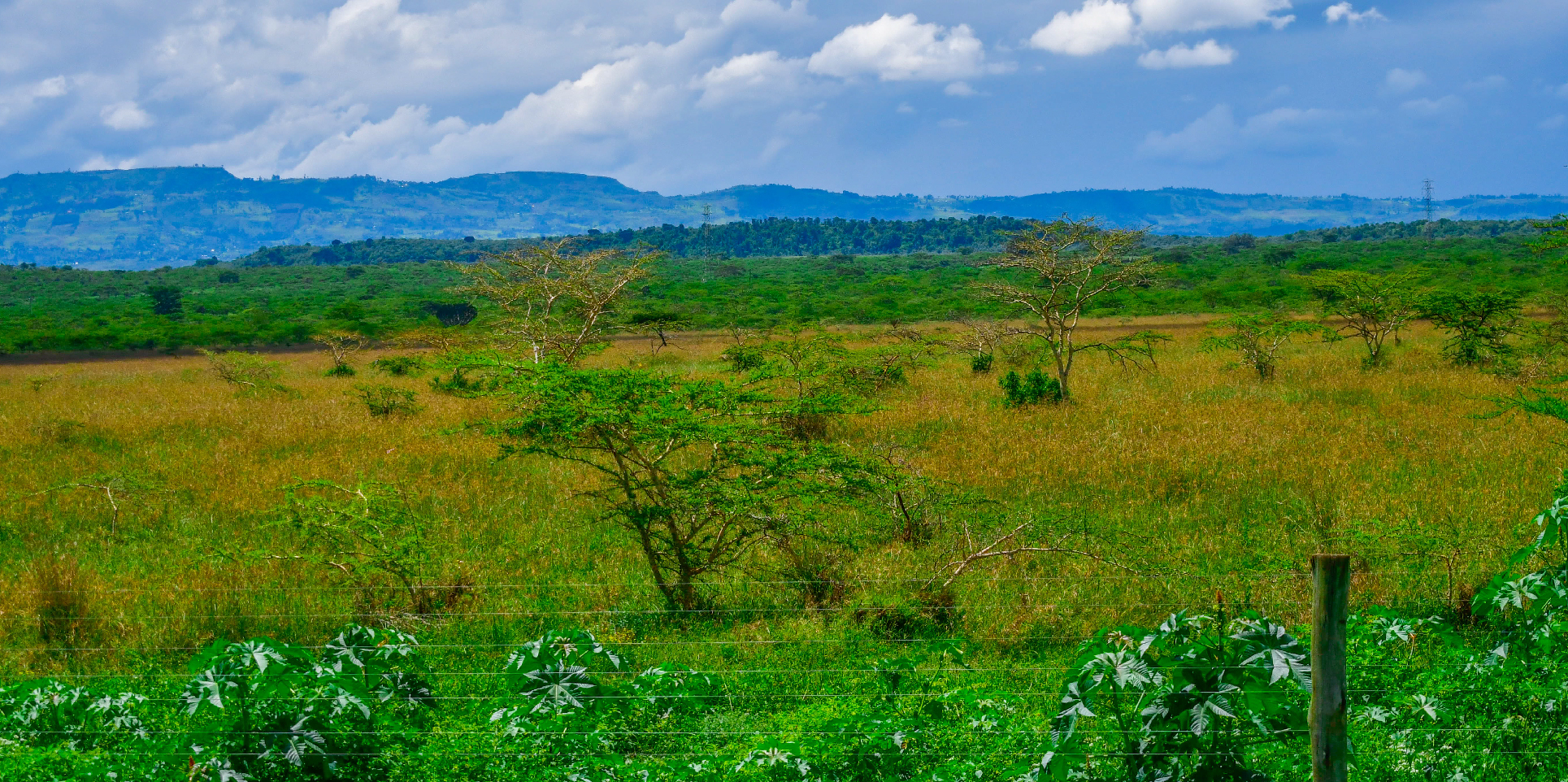 SUCCESS GARDENS PLOTS FOR SALE IN NAKURU
