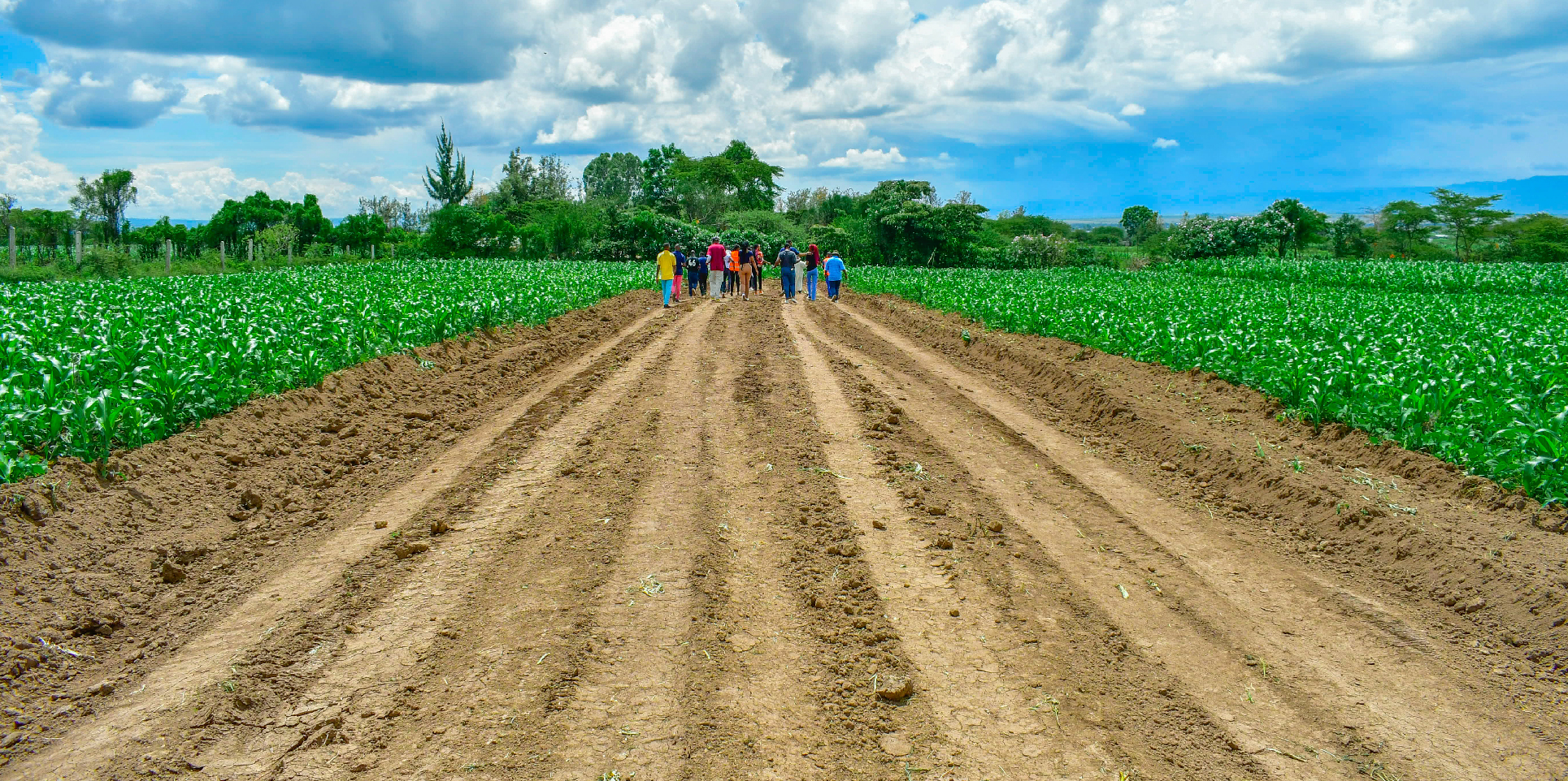 SUCCESS GARDENS PLOTS FOR SALE IN NAKURU