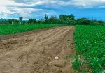 SUCCESS GARDENS PLOTS FOR SALE IN NAKURU