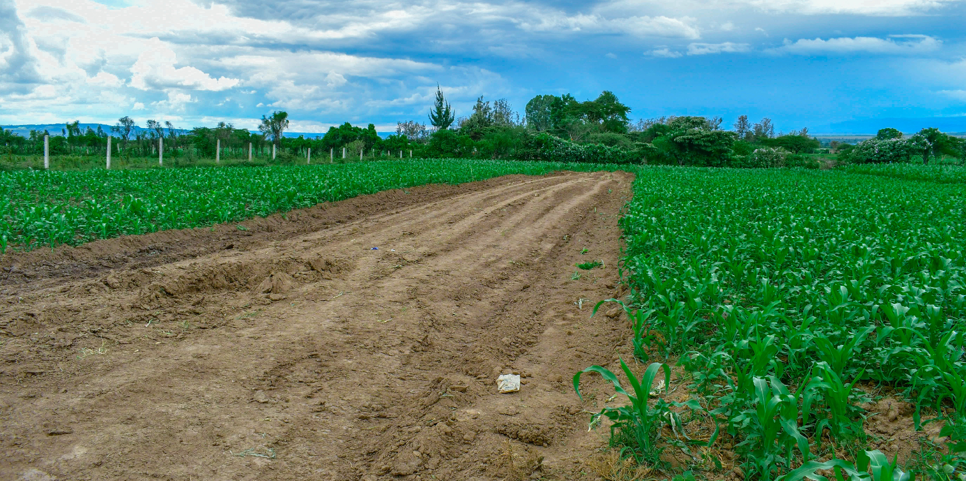 SUCCESS GARDENS PLOTS FOR SALE IN NAKURU