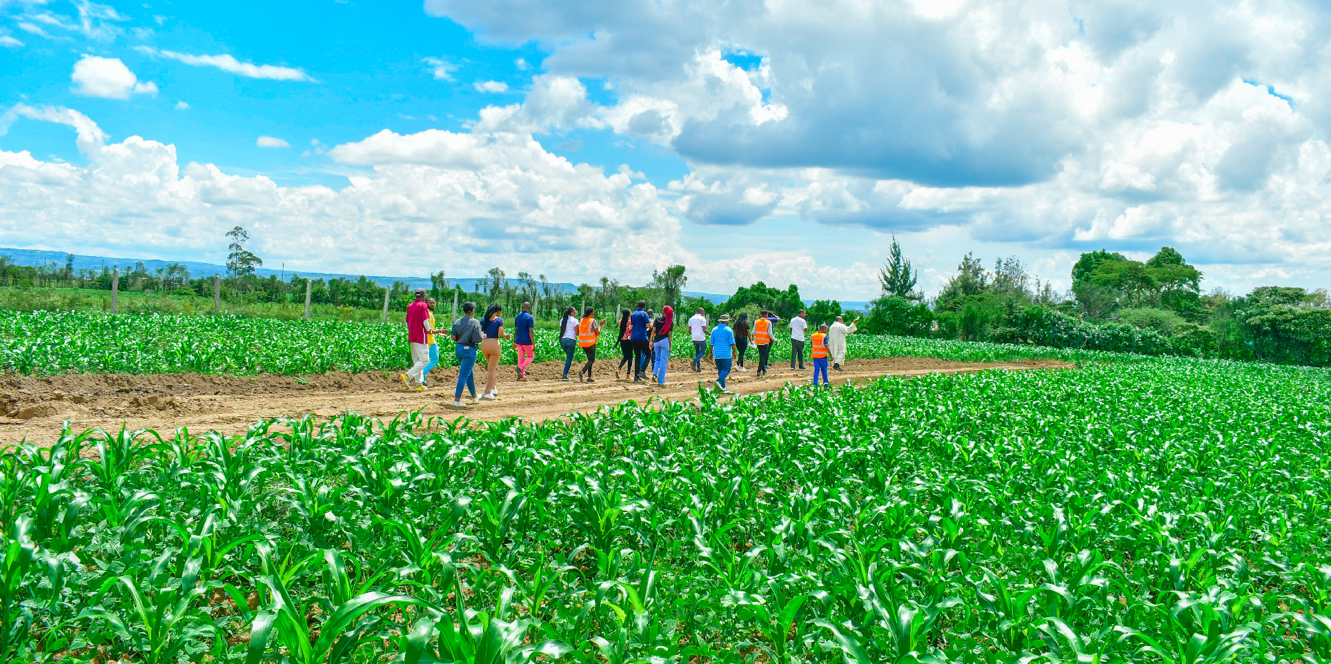 SUCCESS GARDENS PLOTS FOR SALE IN NAKURU
