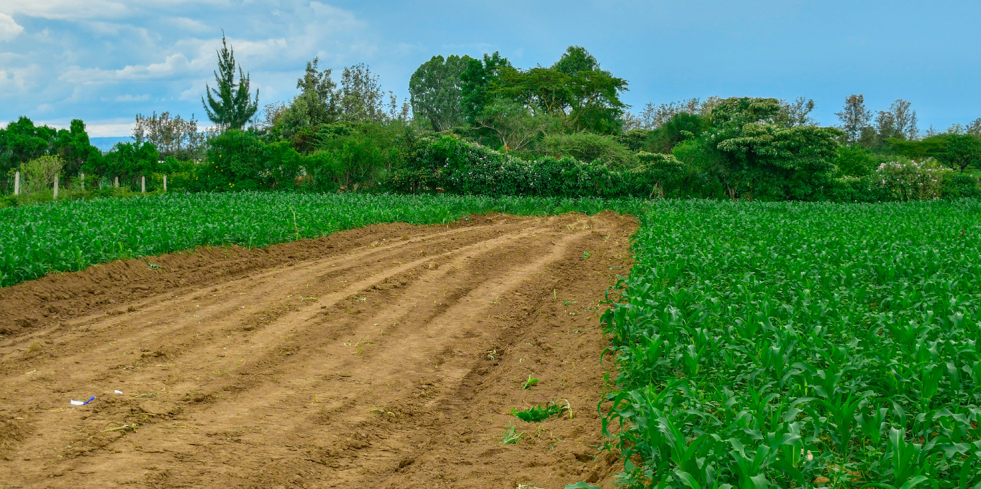 SUCCESS GARDENS PLOTS FOR SALE IN NAKURU