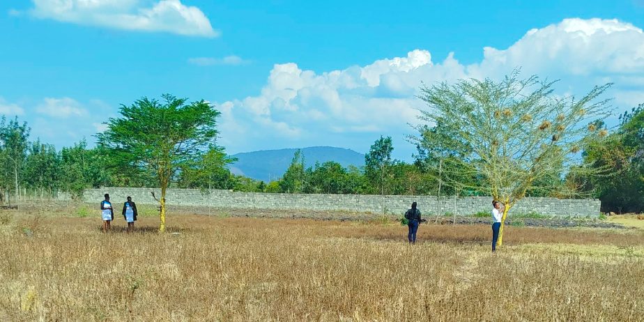 OLIVE COURTS PHASE 5 PLOTS FOR SALE IN THIKA