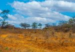 AMANI GARDENS PHASE 8 PLOTS FOR SALE IN KITHYOKO