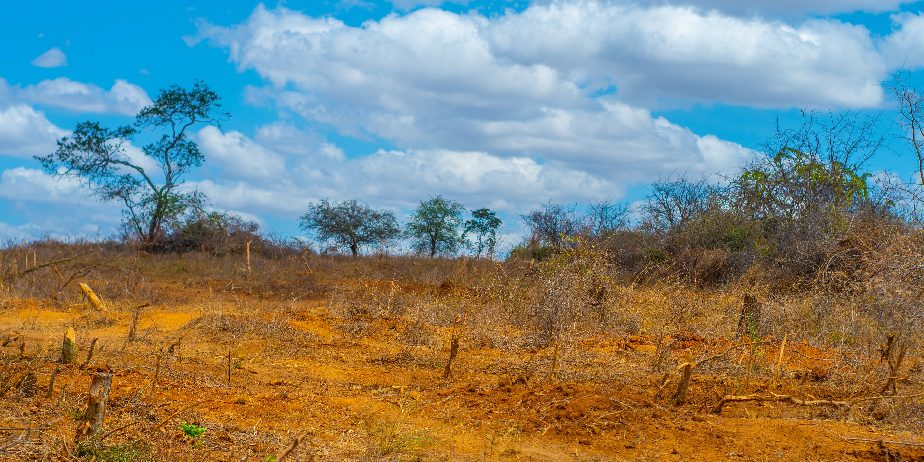 AMANI GARDENS PHASE 8 PLOTS FOR SALE IN KITHYOKO